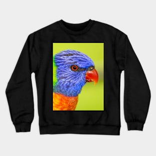 Rainbow Lorikeet Crewneck Sweatshirt